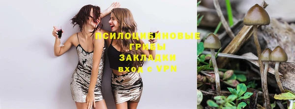 гашик Бугульма